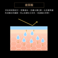 (國際版) 柏瑞美PRAMY 長效保濕定妝噴霧(100ml) 2款任選 (國際版) 柏瑞美PRAMY 長效保濕定妝噴霧(100ml)