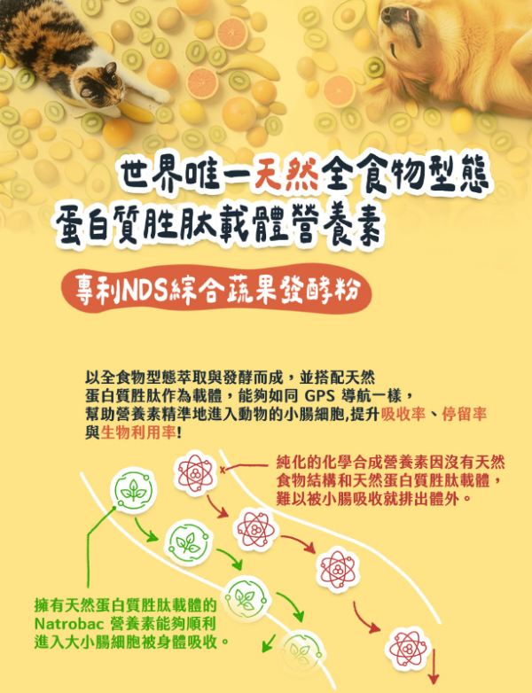 帕奇特小屋 元氣小日子 綜合維他命(犬貓適用) (15g_入,30入_袋) 帕奇特小屋 元氣小日子 綜合維他命(犬貓適用) (1.5g/入,30入/袋)