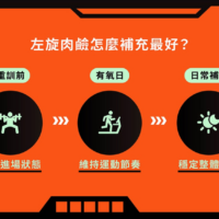 WEDAR薇達 卡尼丁左旋肉鹼(30顆/盒)