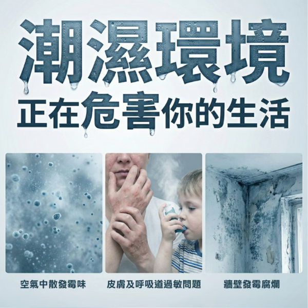法國THOMSON電子式除濕機TM-SADE06