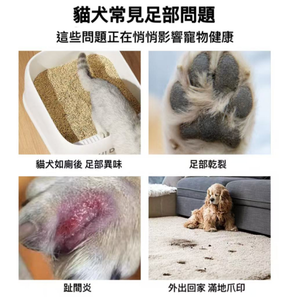 艾寵聯萌 寵物潔足泡沫