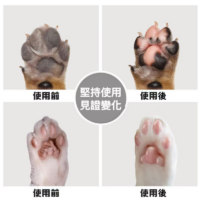 艾寵聯萌 寵物潔足泡沫