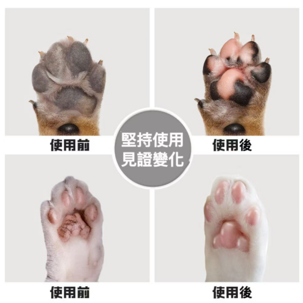 艾寵聯萌 寵物潔足泡沫