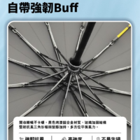 Hilton希爾頓 24骨加大自動摺疊傘 6組箱 (5) Hilton希爾頓 24骨加大自動摺疊傘