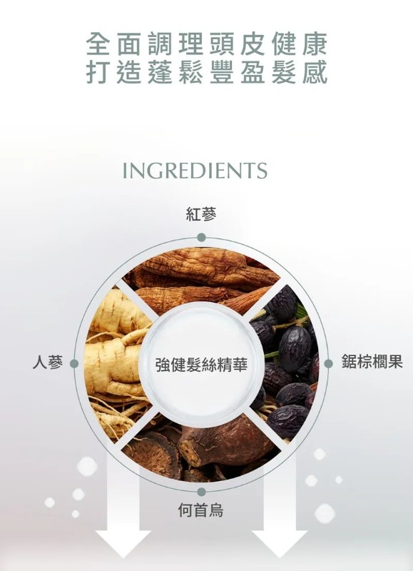 POPPY 雙蔘賦活咖啡因豐盈洗髮精(500mL) (12) POPPY 雙蔘賦活咖啡因豐盈洗髮精(500mL)